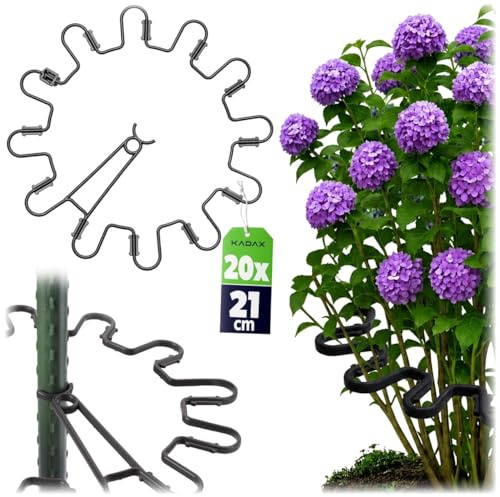 KADAX Perennial Holder, Round, Diameter 21 cm, Set of 20, Plastic Plant Holder, Plant Support, Shrub Support for Hydrangeas and Peonies, Hydrangea Holder, Plant Ring (Black)