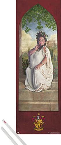 Harry Potter Affiche (158x53 cm) Gryffondor, Mot De Passe, Grosse Dame Et Kit De Fixation Transparent
