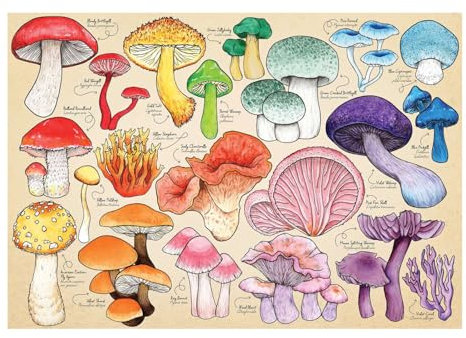 The House of Puzzles Mushroom Mania Jigsaw - 1000 Piece Jigsaws For Adults, Artist Illustrated, Scenic Landscape, Deluxe Puzzle Gifts