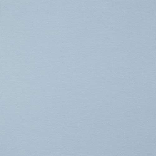 Hans-Textil-Shop Stoff Meterware Uni Jersey - 1 Meter, Schadstoffgeprüft, Jerseystoff, Deko, Kleidung, Shirts, Röcke, Leggings (Hellblau)