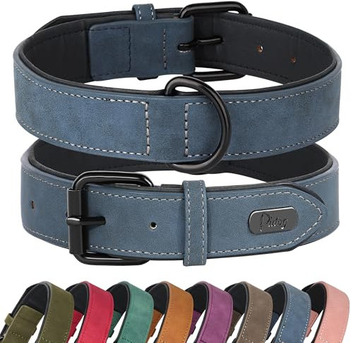 Didog Hundehalsband aus weichem, gepolstertem Leder,strapazierfähiges Hundehalsband aus Leder mit Verstellbarer, rostfreier Metallschnalle für kleine, mittelgroße und große Hunde, Blau, L