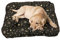 Dogs4Life stilvolles, wasserbeständiges Hundebett aus hochwertigem Codura PVC-Material - antiallergen, strapazierfähig und langlebig - leicht zu reinigen (L 120 x 90 cm, Braun mit Pfoten & Knochen)