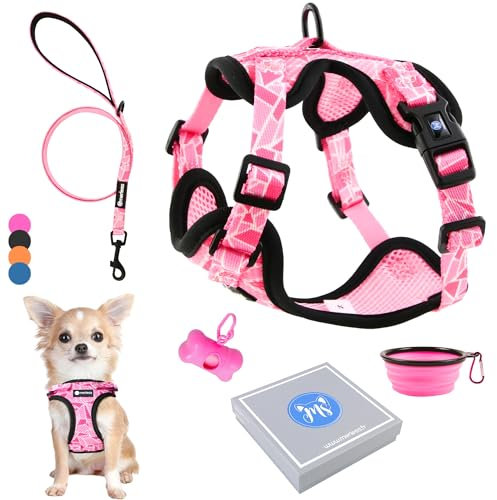 Hundegeschirr für kleine Hunde, Chihuahuas, Welpen und Kätzchen (1,2-3 kg) Verstellbares Geschirr für sehr kleine Hunde Anti-Zug-Weste robust und originell. Spaziergangszubehör (XS Rosa, Set 5 in 1)