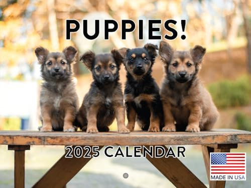 Welpenkalender 2025 Hundewelpen Monatlicher Wandkalender 12 Monate | Hergestellt in den USA