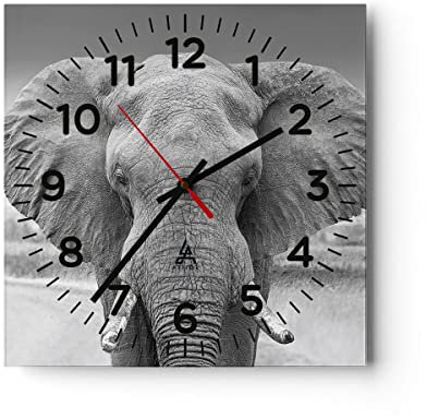 Modern Wanduhr Elefant Afrika Tier 30x30cm Quadrat Klein Wand Uhr Glas Analog Zimmeruhren Küche Büro Wohnzimmer Glasuhr Wall Clock Dekoration Design Wanddekoration Küchenuhr C4AC30x30-5072