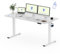 FLEXISPOT 160x80cm Electric Standing Desk Height Adjustable Desk ONE PIECE Sit Stand Desk Stand Up Desk with Memory Smart Pannel (White Frame+ White Desktop)