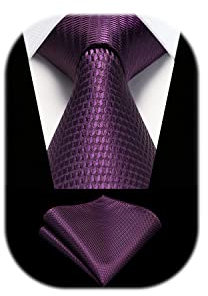 HISDERN Krawatten Lila Herren Hochzeit Krawatte mit Einstecktuch Klassisch Business Krawatte & Taschentuch Set