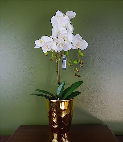 Leaf 54cm Artificial Orchid Plant - White with Gold Pot