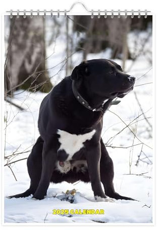 Kackende Hunde Kalender 2025, Wandkalender 2025, Hundekot-Kalender, 12 Monat Lustiger Haustier Kalender 2025, Lustiger Wandplaner 2025, Hundekacken-Humor-Wandkalender