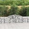 FUDUGEHMIOFWFJJ teichbecken,pflanzkübel XXL,pflanzkübel rechteckig,Gabionen mit Hochbogen 2 STK. 300x30x60/80 cm Verzinktes EisenGeeignet für Garten, Terrasse, Schlafzimmer, Wohnzimmer