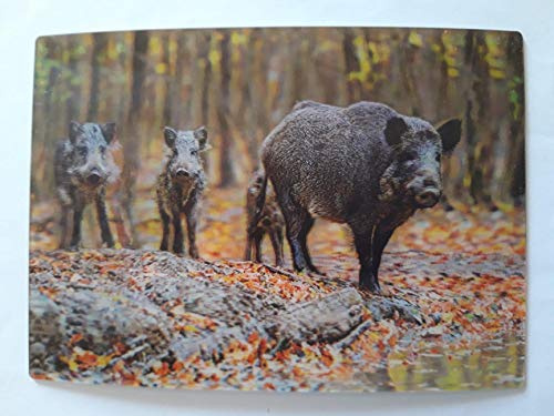 Schöning 3 D Ansichtskarte Wildschweine, Postkarte Wackelkarte Hologrammkarte Rotte