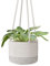 Flexzion Hanging Plant Basket Boho Cotton Rope Basket Indoor Hanging Planter, Up to 7 Flower Pot, Macrame Woven Modern Plant Holder, Storage Bin Organizer, Home Decor with 20 Hanging Rope, White