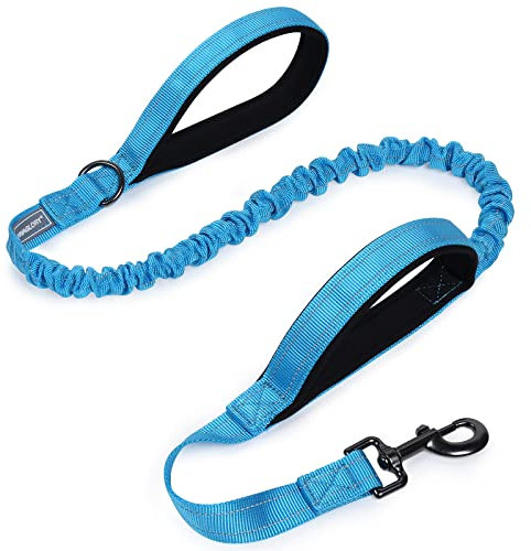 VIVAGLORY Hundeleine Pullsafe Bungee Leine Hund, Führleine Hundeleine mit Doppelgriff & Zwei Griffen für Hausleine Joggingleine, Bungee & Stark Ziehende für Hunde, 120 x 2.5cm, Blau