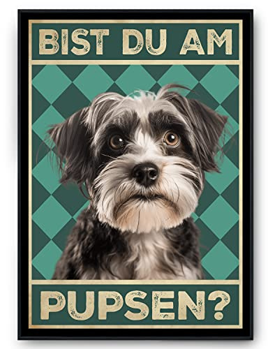 Tigerlino® Bist du am Pupsen Hunde Poster Badezimmer Gästebad Wandbild Klo Toilette Dekoration Lustiges Gäste-WC Bild DIN A4 (Havaneser)