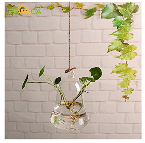 Pots de Fleurs à Suspendre Verre en forme de cloche Planteurs suspendues Vase hydroponique Vase Pendentif Bouteille de fleur de verre transparent for jardin extérieur intérieur Jardinière Suspendue
