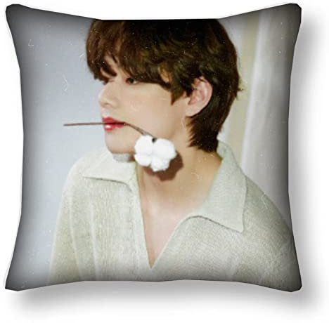 bts merchandise BTS Wurfkissen/Kissen – Kpop J-Hope V Jungkook Suga Jimin Jin Baumwolle Leinen Outdoor Dekorativ Quadrat 45 cm x 45 cm