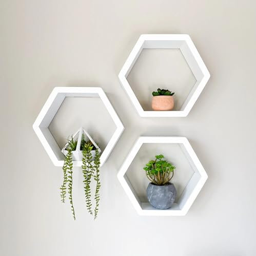 Generisch Yudicor Wandregal