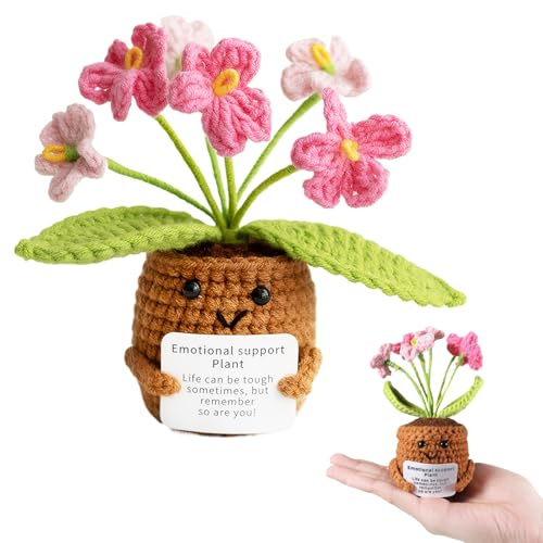 iewrtcin Emotional Support Crochet Funny Gifts, Gradient Pink Crochet Flower Pot Plant