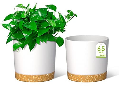 ZMTECH Vasi Per Piante Da 16,5 cm, Fioriere Moderne Con Fori Di Drenaggio e Sottovaso Staccabile, Vasi Di Plastica Per Piante Per Il Davanzale Della Casa e Del Giardino (Bianco, Set Di 2)