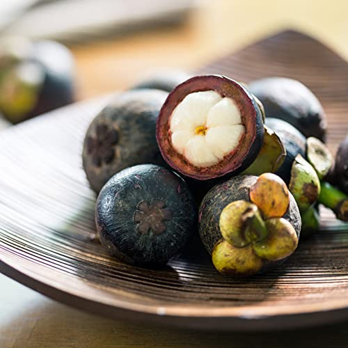 Mangostano/Semi Di Mangostano,Pilastro Alberi Da Frutto Piante Frutta Esotica Regali Di Pasqua Piante Verdi Piante Da Interno Piante In Vaso Resistenti-60 Pezzi