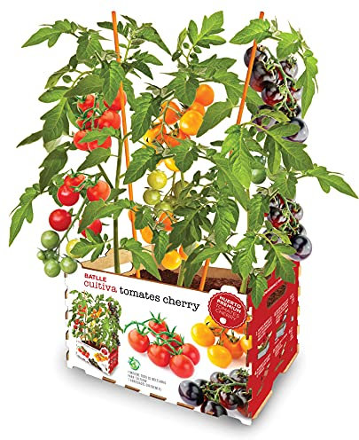 Batlle Vergers Haut de Gamme - Tomates Cerises mélangées, Divers