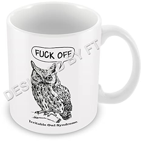 FlyingTurtles Irritable Owl Syndrome - Funny Rude Gift Ceramic White 11oz Mug by FT.
