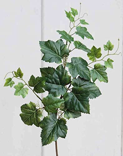 artplants.de Branche de Vigne Artificielle Noah, Vert, 70cm - Branche de Vigne décorative