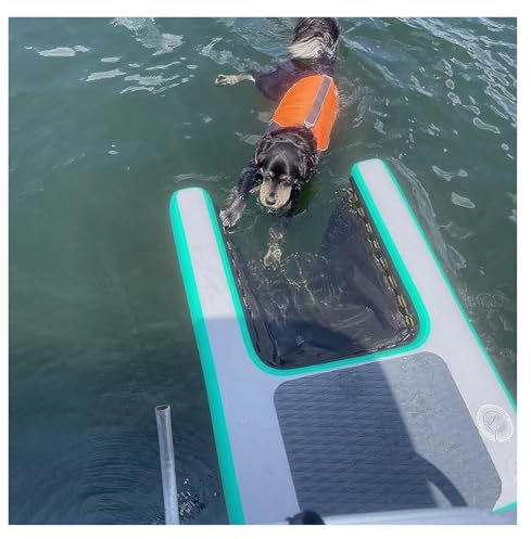 rampe de piscine pour chien Rampe D'accès Pour Chien Pour Lac, Plate-forme Gonflable Pliable Pour Piscine, Flotteur Pour Chien Noir Bleu Vert Rouge Jaune Pour Animaux De Compagnie Nageant Jusqu'à 105k