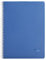 Clairefontaine 329125C Collection Linicolor Intensive Lot de 10 Cahiers à Spirale - A4 21x29,7 cm - 100 Pages Petits Carreaux - Papier Blanc 90 g - Couverture Polypro - Couleurs Aléatoires Intensive