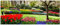Wallario Glasbild Bunte Blumen und Kirsch-Baum im Park blühen im Frühling - 32 x 80 cm Wandbilder Glas in Premium-Qualität: Brillante Farben, freischwebende Optik