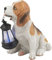 GLOBO Hund mit LED Solarleuchte Solarlampe Solar Solarlicht Gartenleuchte Deko Gartendekoration Laterne (Solarhund, Akku, Gartenlampe, Gartenlicht, Gartenbeleuchtung, Höhe 24,5 cm)