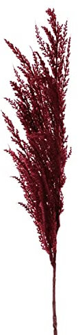artplants.de Branche décorative Herbe de la Pampa paniculée Erato, Rouge Bordeaux, 100cm - Herbe de la Pampa Plante Artificielle