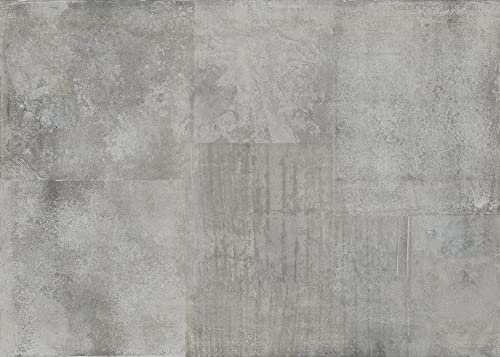 Rasch Tapete 364262 - Fototapete auf Vlies mit Metalloptik in hellem Grau, Rostoptik - 2,65m x 3,71m (LxB)
