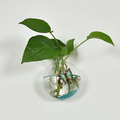 Clear Ball Shape Glass Wall Hanging Flower Vase Plant Bottle Home Decor 12cm