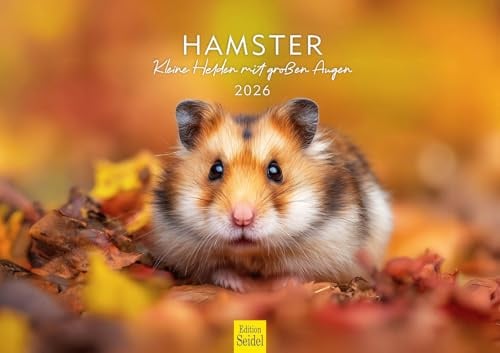 Edition Seidel Premium Kalender Hamster – Kleine Helden mit großen Augen 2026 Format DIN A3 Wandkalender Tierkalender Säugetier Haustier Nager Nagetier Niedlich