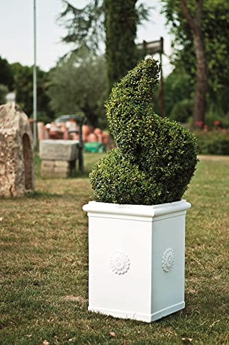 ELBI Tall Resin Vase with Rosette 50 cm. Bianco -