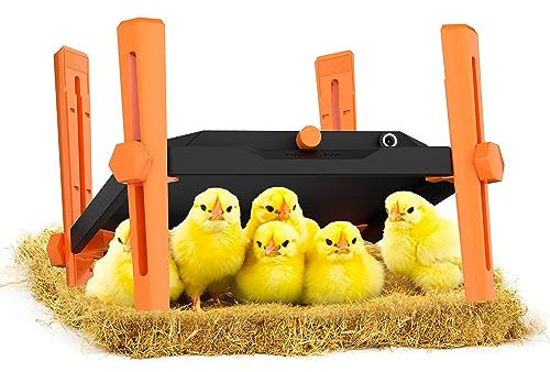 Pet & Livestock HQ Chauffe-Poules pour Poussins – Plaque chauffante pour couveuse – 30,5 x 30,5 cm – Kit de Chauffage d'intérieur avec Hauteur réglable et Affichage de la température