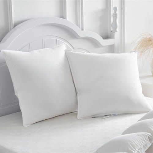 Homyrium Oreillers en Plume 60x60 Lot de 2 Oreillers en Duvet à 3 Compartiments avec 100% Duvet et Plumes (900 g, Lot de 2)