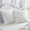 Almohada de Plumón 60x60 Pack 2 Almohada Plumas 60x60 cm Almohada para Dormir de Hotel de 3 Cámaras, Funda 100% Algodón y Relleno de Pluma, Certificado Ökotex (900 g, 2 Unidad)