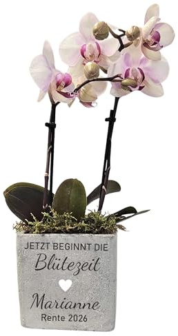 mamir home Abschiedsgeschenk Kollegin – Personalisierter Blumentopf klein – Geschenk zur Rente Frau – Ruhestand Geschenk mit Namen (Rente, 9.5 x 9.5 x 9.5 cm)