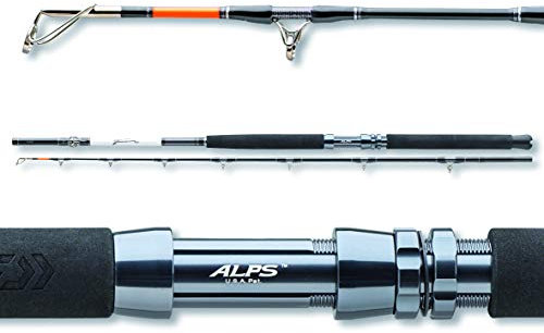 Daiwa Tanacom 702XXH 2tlg. 400-1000g 2.10m