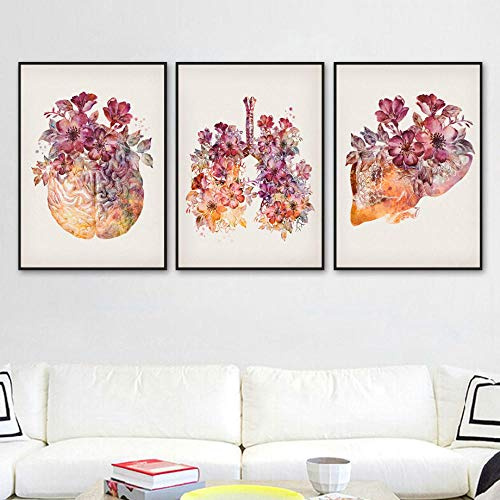 DASHBIG Bilder Anatomie Innere Organe Blumen Herz Gehirn Lunge Nordic Poster Wand Kunstdruck Leinwand Malerei Dekor Bilder Für Wohnzimmer | 40x60cmx3 Kein Rahmen