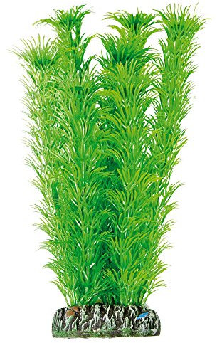 ICA Aquatic Plants AP1005 Planta Ambulia Artificial para Acuarios, 21 Cm