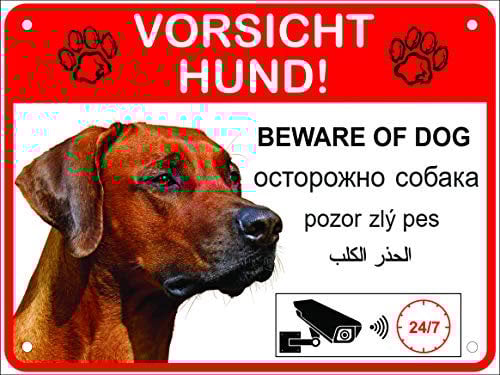 LUGUNO Hundeschilder Warnung 5-sprachig Vorsicht Hund Schild Alu (20x15cm - Rhodesian Ridgeback)