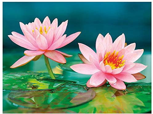 Ideen mit Herz 5D Diamond Painting | Diamant Painting Set | Motiv: 35 x 25 cm | Leinwand: 30 x 40 cm | runde Steinchen | inkl. Zubehör | Verschiedene Bilder zur Auswahl (Seerosen)