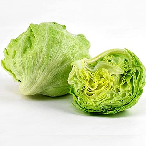 Semi Lattuga Batavia Bionda di Parigi Insalata Franchi Sementi 6g