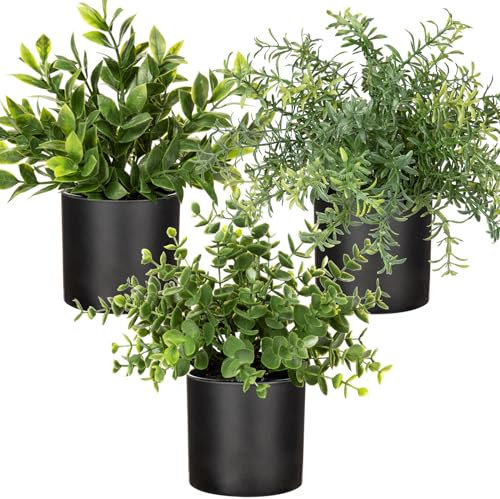 Oairse 3er Set kleine Pflanzen in Töpfen, Kunstpflanze Echter Eukalyptus Mini Künstlicher Rosmarin Künstliche Farnpflanze, Schleierkraut Klein mit Töpfen Tischdeko Zuhause Balkon Büro Deko
