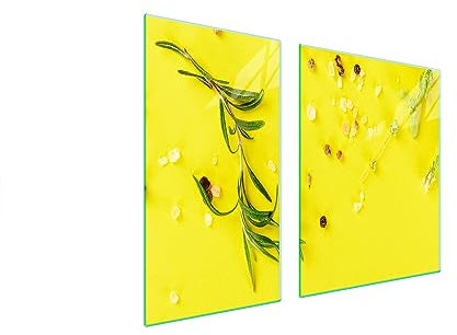TMK ArtDeko Tabla de cortar decorativa de cristal templado y cubre vitro, Placa protectora de vitrocerámica 90 x 52 cm 2 piezas, para inducción, protección contra salpicaduras, Sal