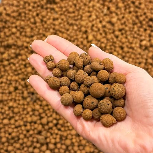 bhomescent Clay Pebbles For Hydroponics, Plant Pots, Orchids, Terrarium (6L)