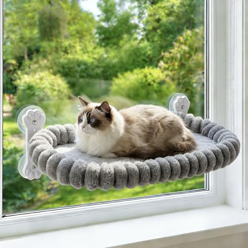 Homegroove Cat Window Perch, 24 x 12 Inch Foldable Cat Hammock for Window with 4-Sided Bolster & 4 Large Suction, Cordless Window Bed for Indoor Cats (Gray, Large(60x30cm))